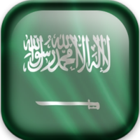沙特国旗正方形勋章