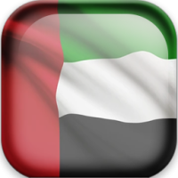 迪拜国旗正方形勋章